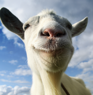 Goat Simulator gra mobilna z otwartym światem i absurdalnym humorem